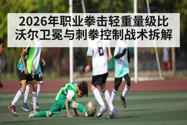 2026年职业拳击轻重量级比沃尔卫冕与刺拳控制战术拆解